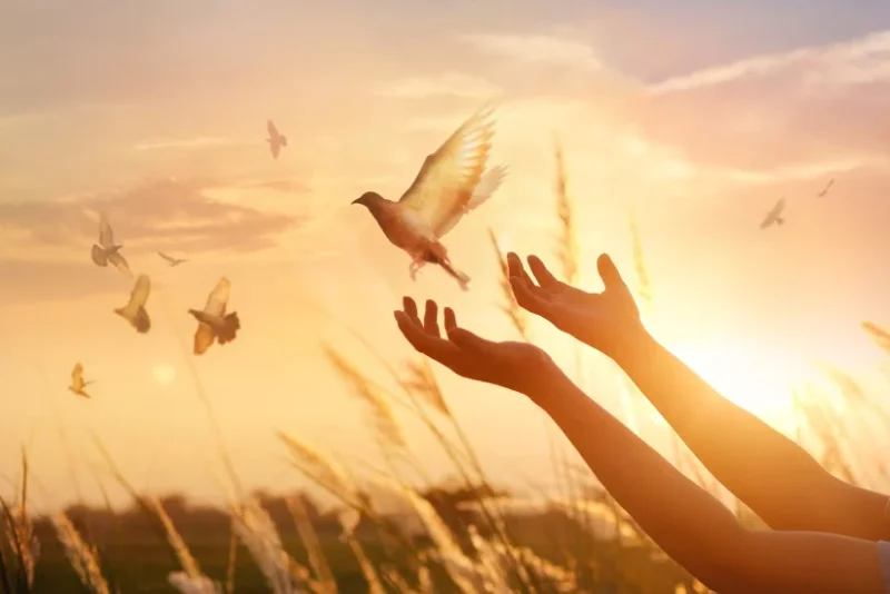 Sorge für inneren Frieden in deinem Leben