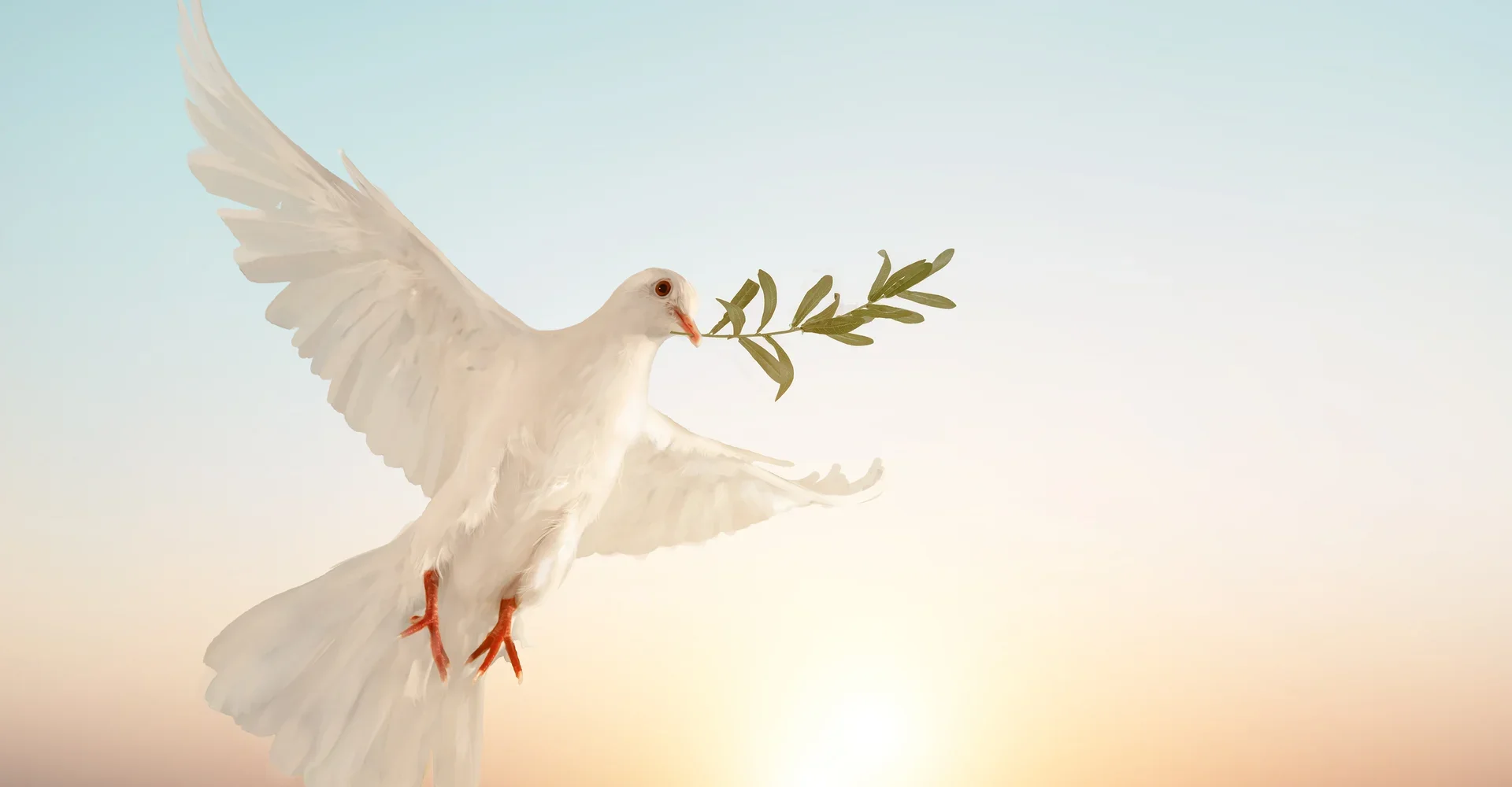 Holy Spirit Healing - Lerne wahre Heilung kennen