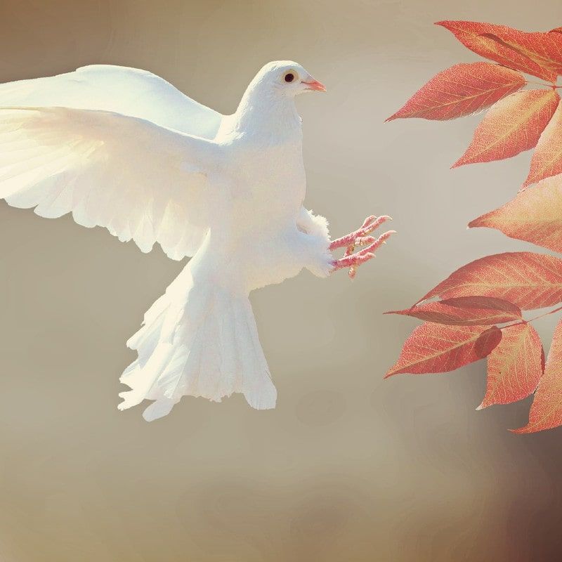 Erhalte inneren Frieden durch die Kommunikation mit dem Heiligen Geist